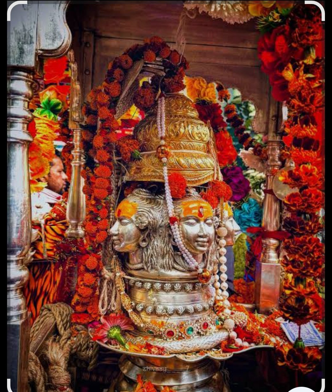 ओंकारेश्वर पहुंची बाबा केदार की पंचमुखी चल विग्रह डोली।।